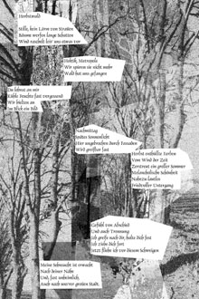 Collage: Herbstwald