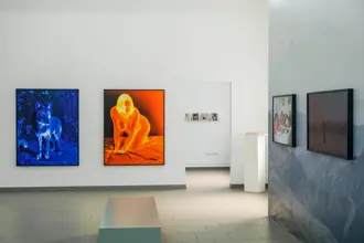 Haus am Kleistpark: Ausstellung: 'Mind the Gap'