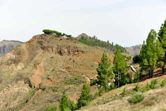 Gran Canaria: Mirador Degollada de Becerra