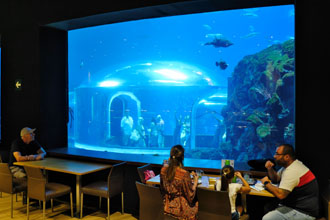 Gran Canaria: Poema del Mar (Aquarium)