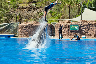 Gran Canaria: Delfinarium im Palmitos Park