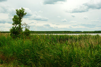 Usedom: Achterwasser