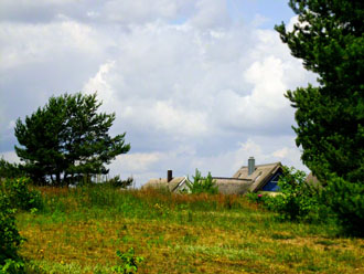Usedom: Häuser in Loddin